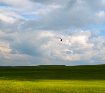 Полёт над степями