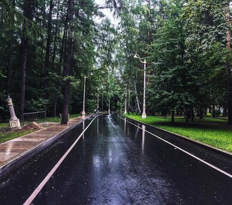 После дождя. Ботанический сад