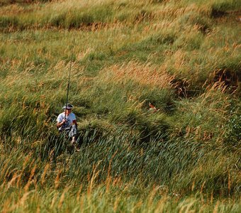 Рыбалка в высокой траве