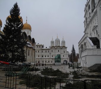 Привезли Кремлевскую елку
