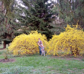 Улыбчивый дом