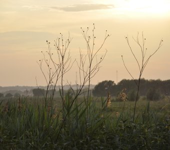 Июньский закат. Лыткаринская пойма.