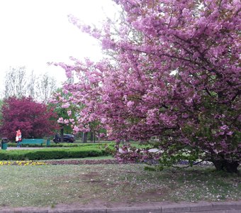 Природа лучший художник