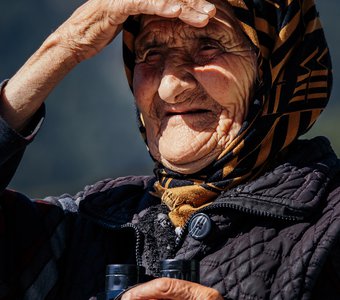 Дневной дозор