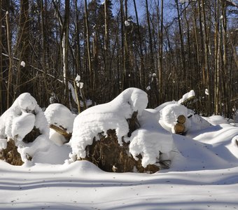 Идут бредут, зиму уведут