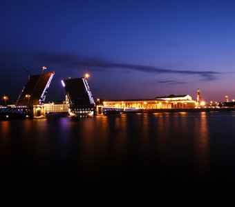 Ночная нежность