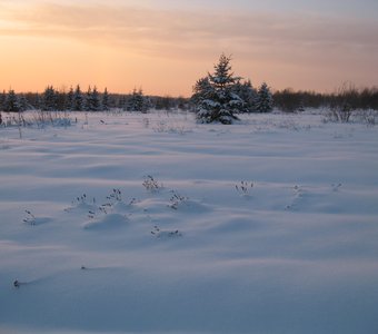 В снежном плену