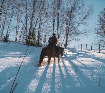 Пастух в горах Алтая