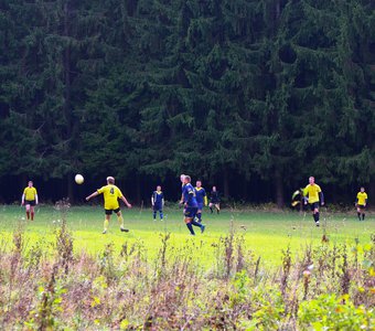 Футбольный матч в лесу.