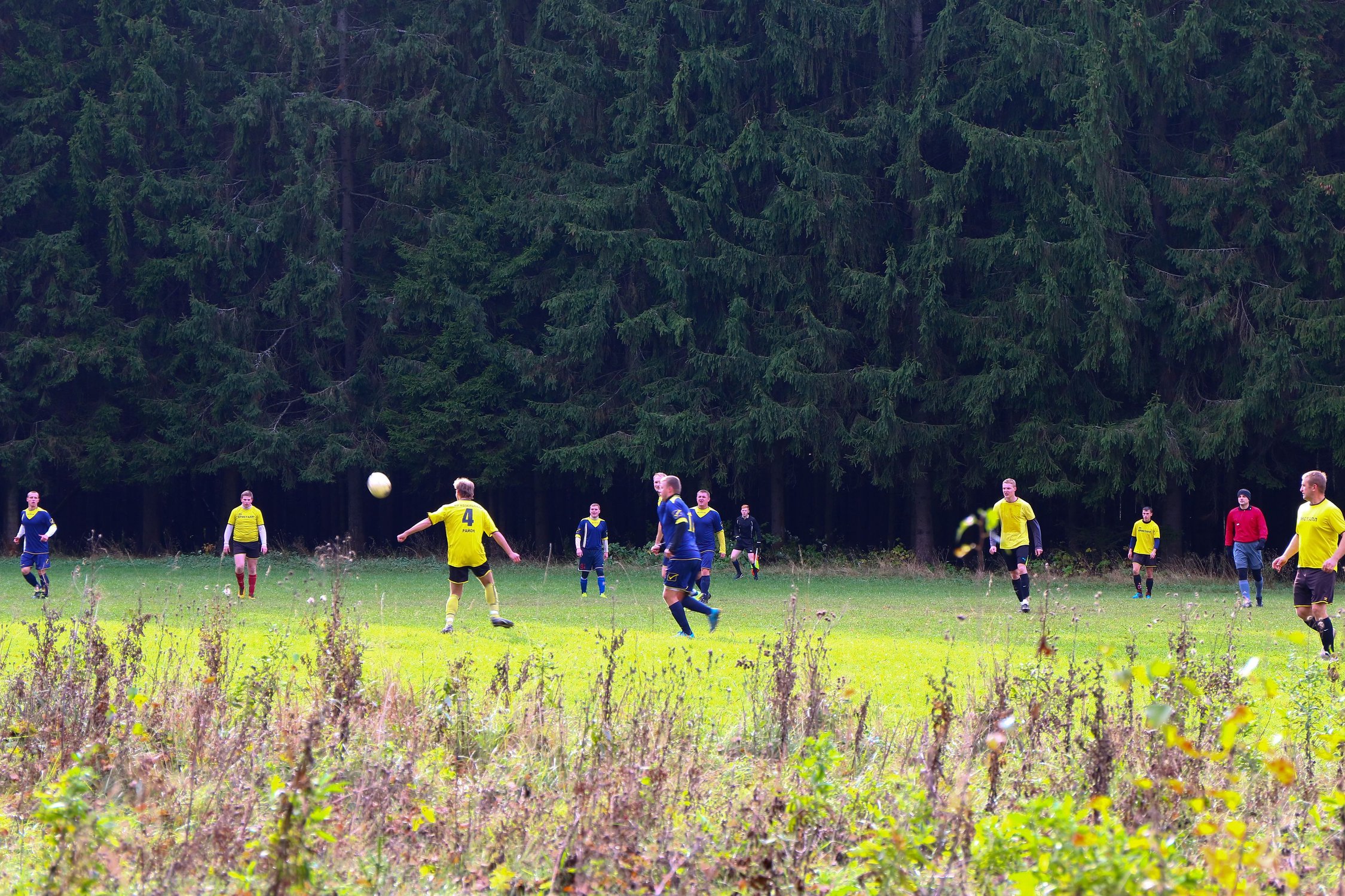 Футбольный матч в лесу.