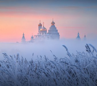 Парящий в тумане