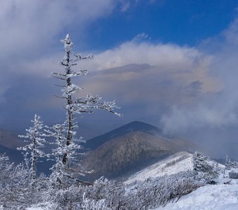 Момент солнца.