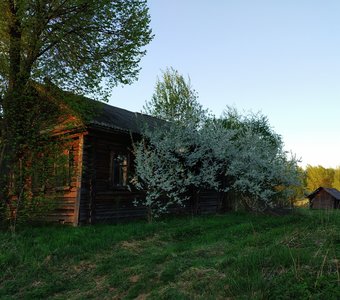Дом и сад