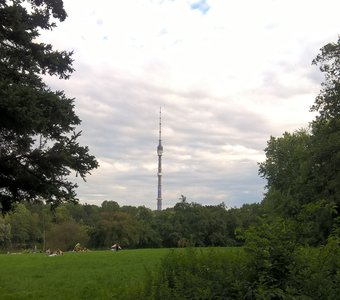 Останкинская башня, вид из Ботанического сада
