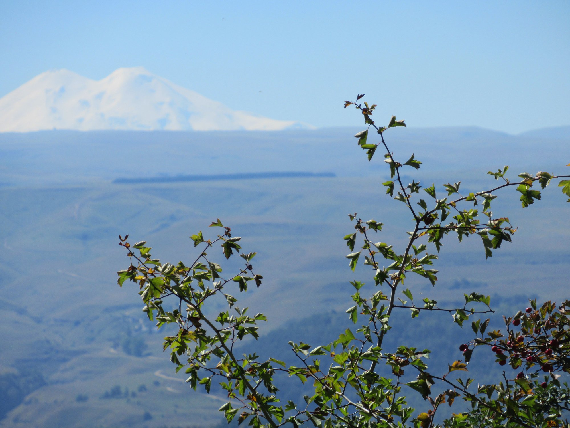 Вид на Эльбрус
