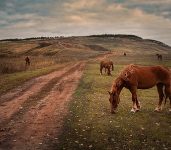 Предуралье