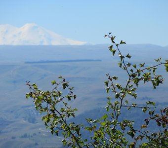 взгляд на великое