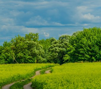 Курская Коренная Рождество-Богородичная пустынь.