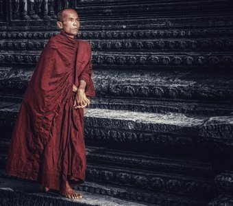 Монах встречает рассвет в храме Ангкор