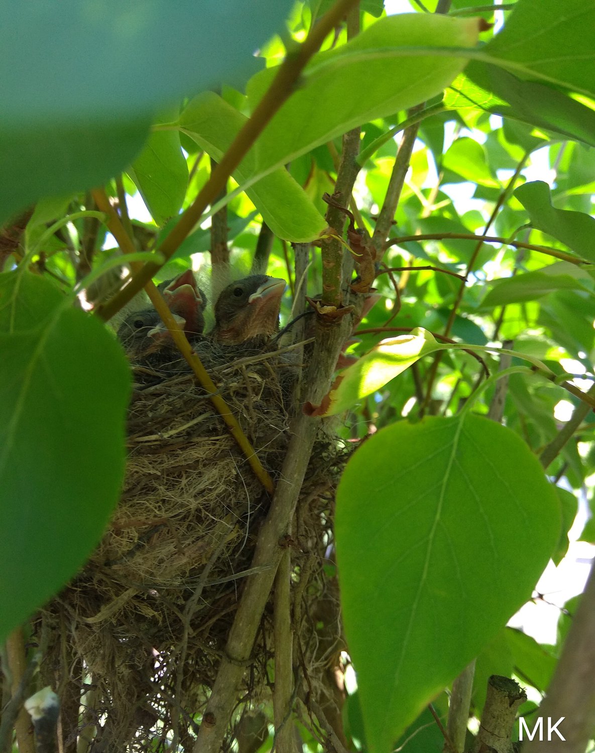 Жизнь прекрасна