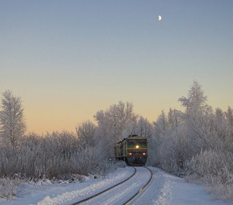 Поезд из сказочного леса