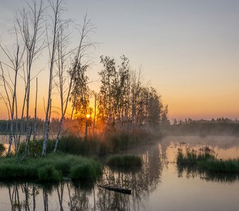 Утро неслышно скользит...