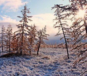 Арктическая осень