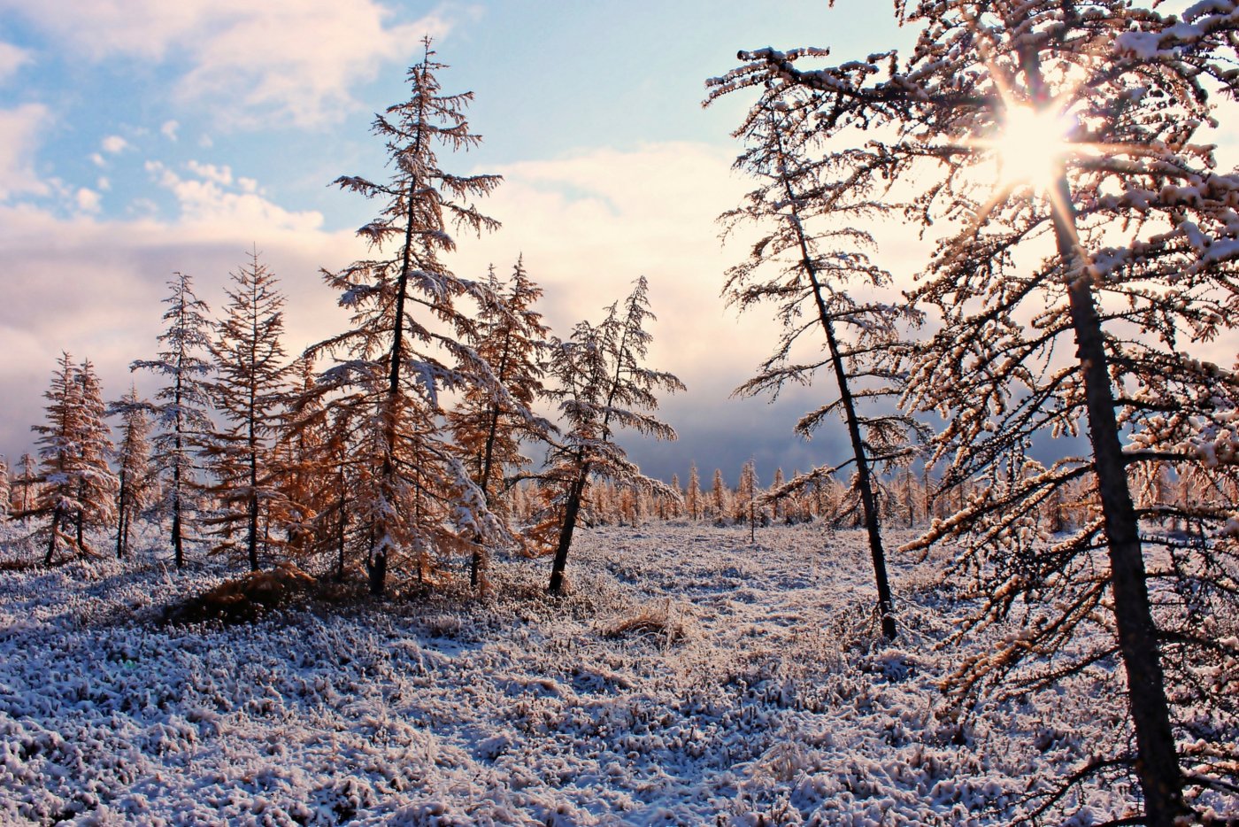 Арктическая осень