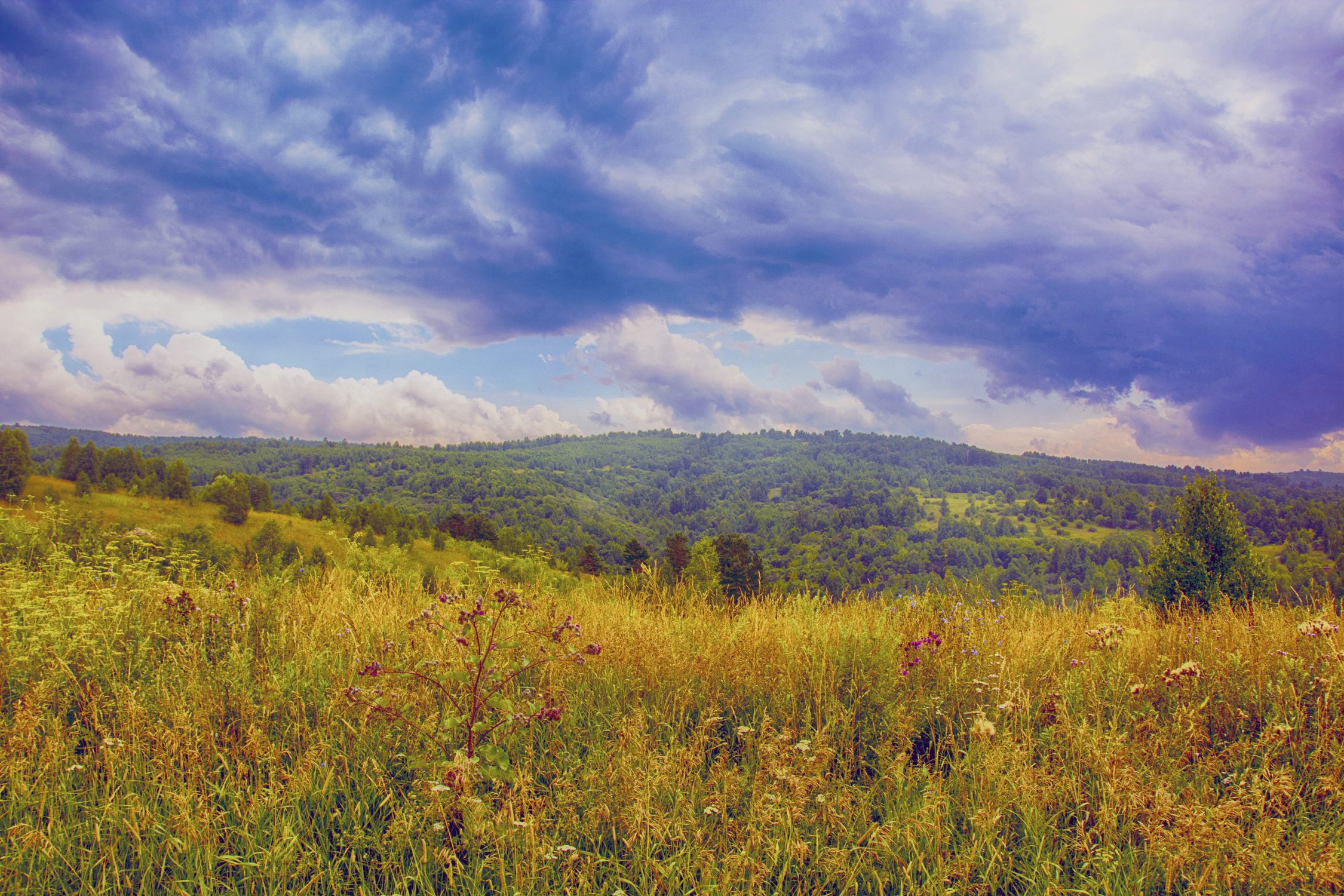 акварель августа