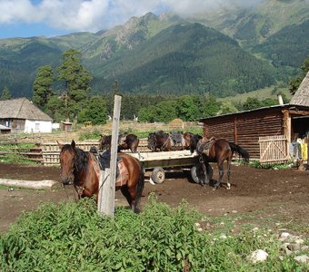 В глубине гор