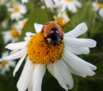 Скоро в небо.