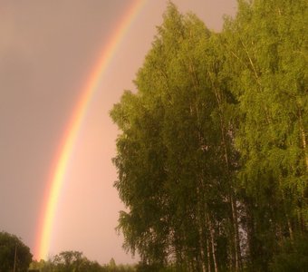 Радуга после дождя.