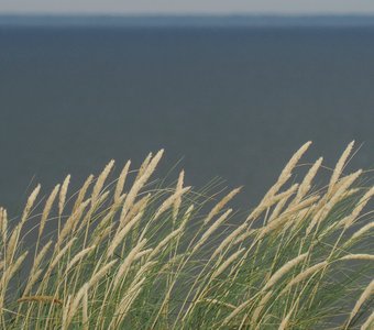 Попутный бриз