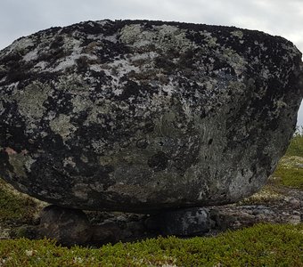 Чудо природы