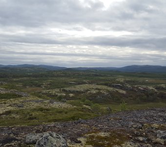 Летняя Тундра за Полярным кругом