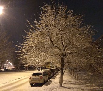 Первый снег