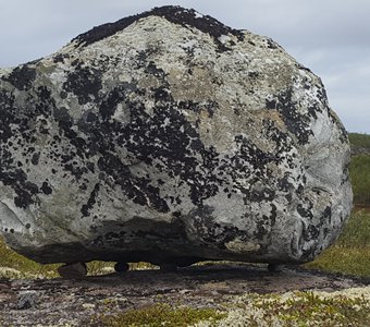 Фантастическое творение Полярной Тундры