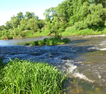 Река Осетр