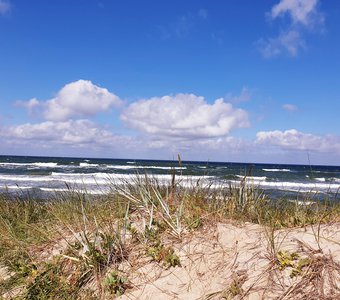 Побережье Балтийского моря