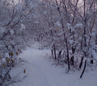 Серебряные одежды