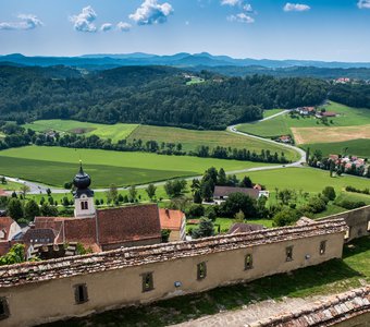 Austrian postcard