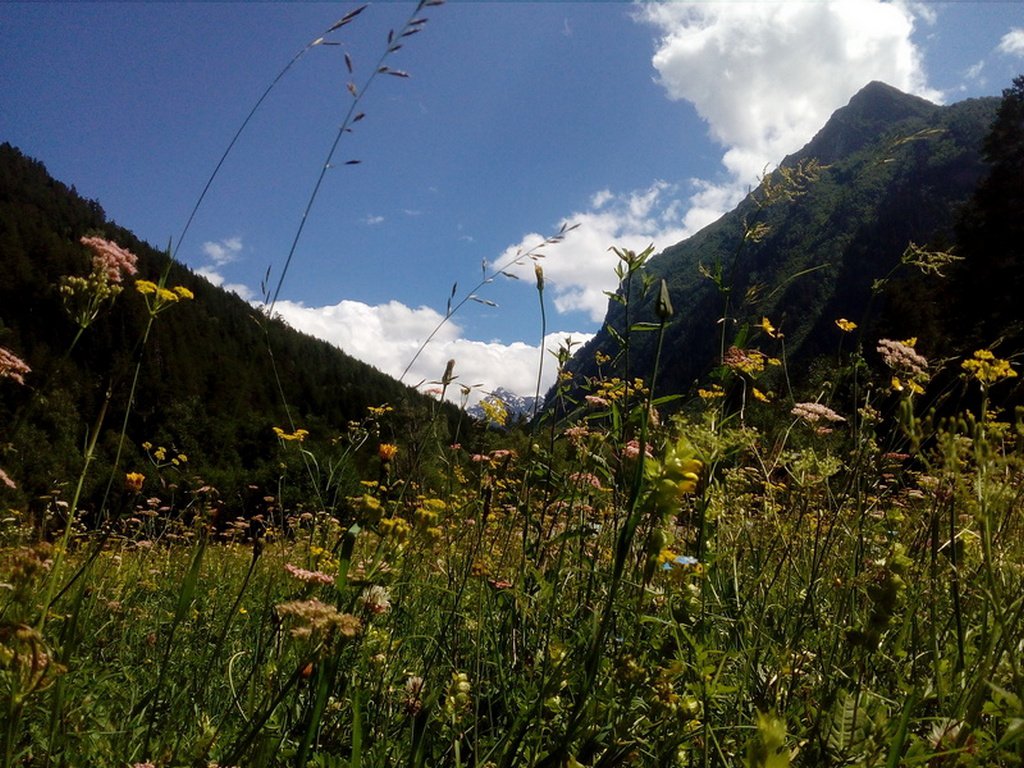 Mountain chains in russia