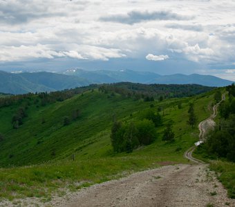 Дорога в Тигирекский заповедник