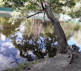 Зеркало