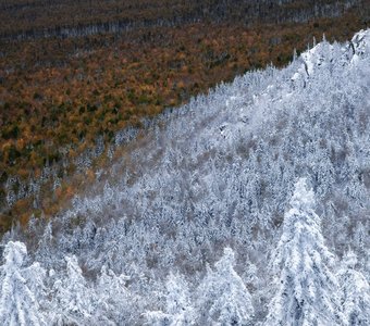 Война осени с зимой