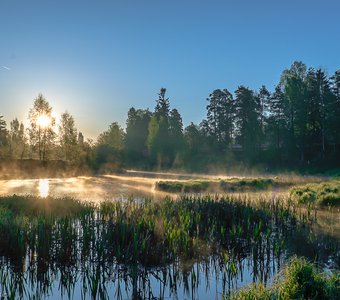 Утро на реке Оредеж.