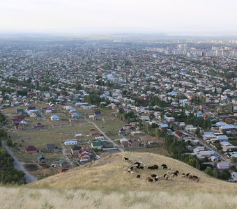 Вид на пригород Бишкека