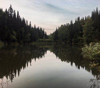 Озеро в лесу.