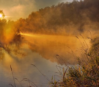 Ночные заморозки растворились в утренних лучах .