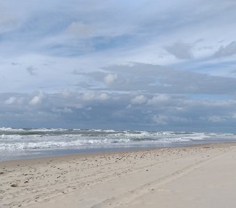 Куршская коса